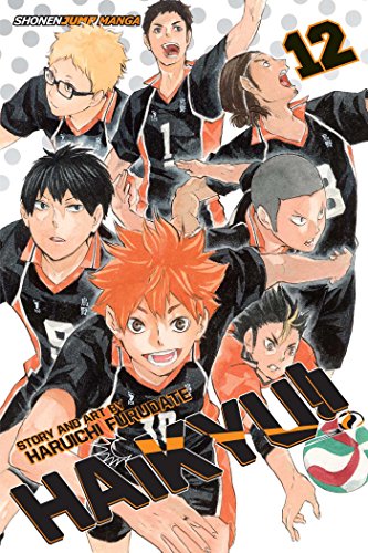 Haikyu!!, Vol. 12: The Tournament Begins! (HAIKYU GN, Band 12)