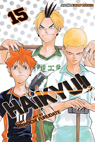 Haikyu!!, Vol. 15: Destroyer (HAIKYU GN, Band 15)