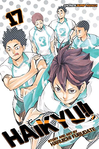 Haikyu!!, Vol. 17: Talent and Instinct (HAIKYU GN, Band 17)