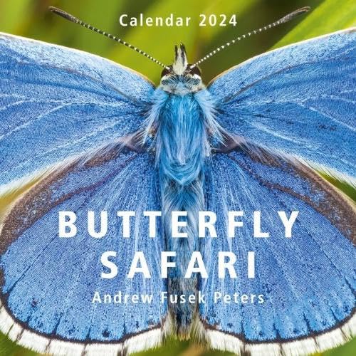 Butterfly Safari Calendar 2024 von Graffeg Limited