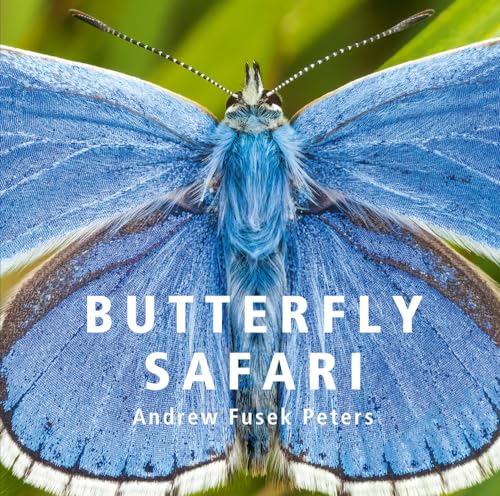 Butterfly Safari von Bird Eye Books