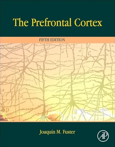 The Prefrontal Cortex