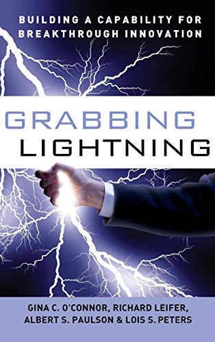 Grabbing Lightning: Building a Capability for Breakthrough Innovation von Wiley