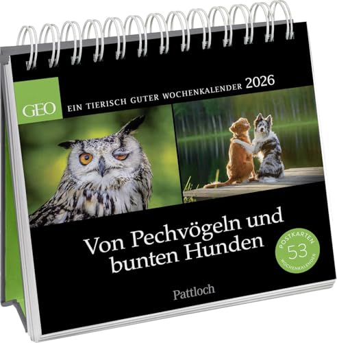 Postkartenkalender 2026: Von Pechvögeln und bunten Hunden: Ein tierisch guter Wochenkalender | Zum Aufstellen, Tischkalender mit Spiralbindung und 53 Postkarten zum Heraustrennen von Pattloch Geschenkbuch