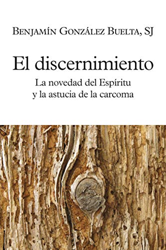 El discernimiento: La novedad del Espíritu y la astucia de la carcoma (El Pozo de Siquén, Band 418) von SAL TERRAE EDITORIAL