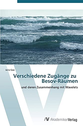 Verschiedene Zugänge zu Besov-Räumen: und deren Zusammenhang mit Wavelets von AV Akademikerverlag