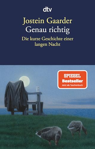 Genau richtig: Die kurze Geschichte einer langen Nacht von dtv Verlagsgesellschaft