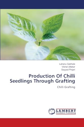 Production Of Chilli Seedlings Through Grafting: Chilli Grafting