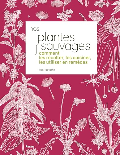 Nos plantes sauvages: Comment les récolter, les cuisiner et les utiliser en remèdes von Racine