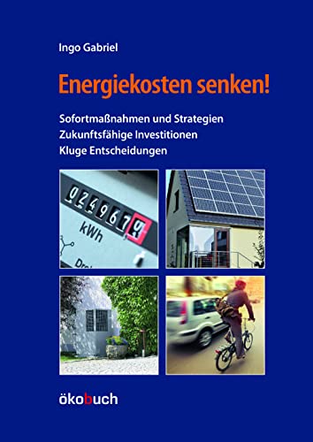 Energiekosten senken!: Sofortmaßnahmen und Strategien, zukunftsfähige Investitionen, kluge Entscheidungen. Wie Sie als Hauseigentümer:in Energie sparen und mehr Energieunabhängigkeit erreichen