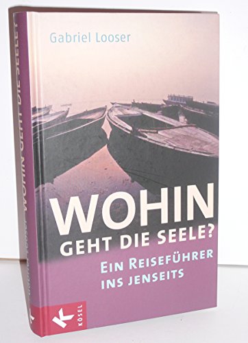 Wohin geht die Seele?: Ein Reiseführer ins Jenseits