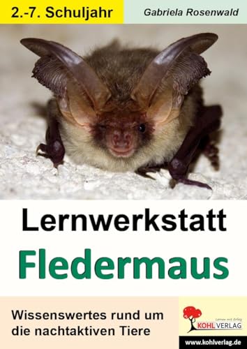 Lernwerkstatt Die Fledermaus: Wissenswertes rund um die nachtaktiven Tiere