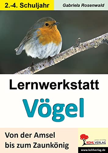 Lernwerkstatt Vögel (GS): Von der Amsel bis zum Zaunkönig: Ein Leben aus der Vogelperspektive