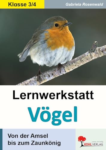 Lernwerkstatt Vögel (GS): Von der Amsel bis zum Zaunkönig: Ein Leben aus der Vogelperspektive