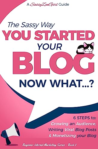 You Started Your Blog - Now What...? (Beginner Internet Marketing Series, Band 2)