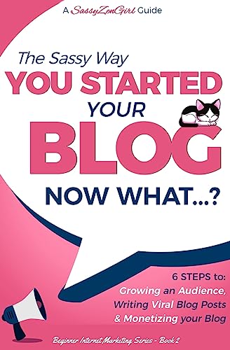 You Started Your Blog - Now What...? (Beginner Internet Marketing Series, Band 2)