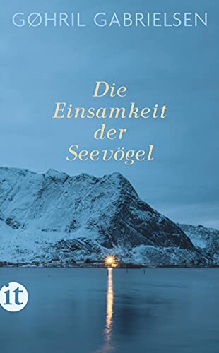 Die Einsamkeit der Seevögel: Roman (insel taschenbuch)