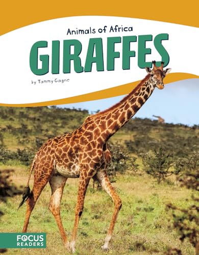 Animals of Africa: Giraffes (Focus Readers: Animals of Africa: Beacon Level) von Focus Readers