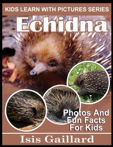 Echidna: Photos and Fun Facts for Kids (Kids Learn With Pictures, Band 99)