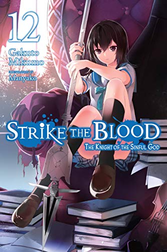 Strike the Blood, Vol. 12 (light novel): The Knight of the Sinful God (STRIKE THE BLOOD LIGHT NOVEL SC) von Yen Press
