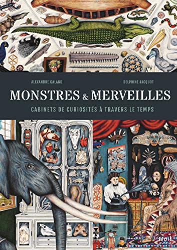 Monstres et Merveilles: Cabinets de curiosités à travers le temps von SEUIL JEUNESSE