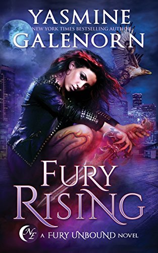 Fury Rising (Fury Unbound, Band 1) von Nightqueen Enterprises