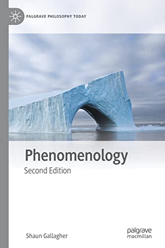 Phenomenology (Palgrave Philosophy Today) von Palgrave Macmillan