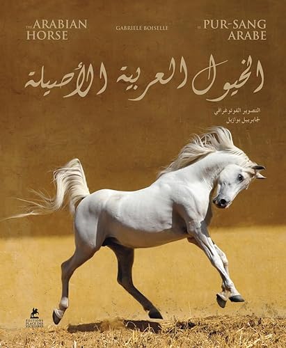 The Arabian Horse von PLACE VICTOIRES