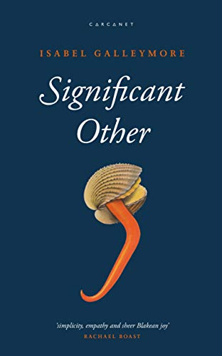 Significant Other von Carcanet Press