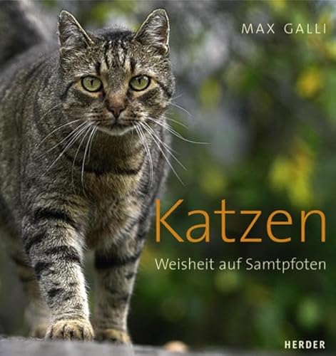 Katzen: Weisheit auf Samtpfoten...