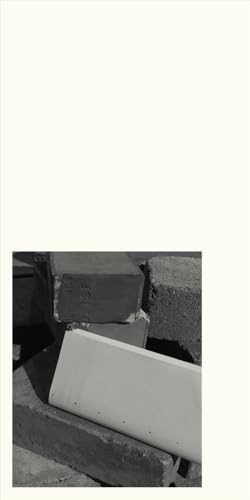 Moving Through Images: Explorations into Visual Reproduction, Perception and Randomness (artedition · Verlag Bibliothek der Provinz) von Bibliothek der Provinz