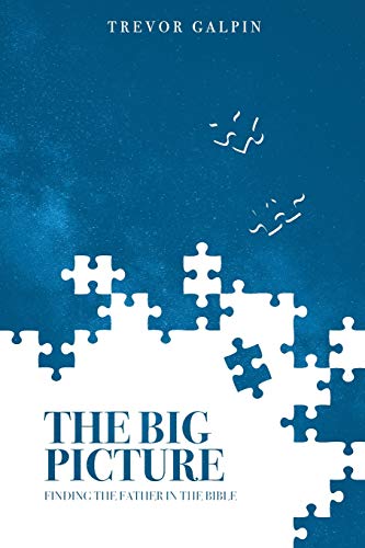 The Big Picture: Finding the Father in the Bible von Nielsen