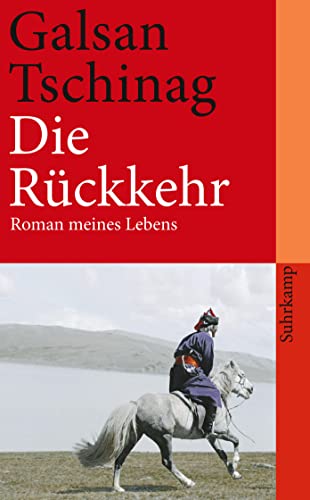 Die Rückkehr: Roman meines Lebens (suhrkamp taschenbuch) von Suhrkamp Verlag AG