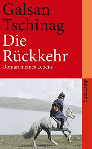 Die Rückkehr: Roman meines Lebens (suhrkamp taschenbuch)
