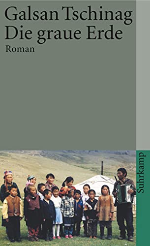 Die graue Erde: Roman (suhrkamp taschenbuch) von Suhrkamp Verlag AG