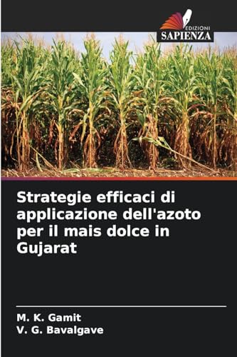 Strategie efficaci di applicazione dell'azoto per il mais dolce in Gujarat