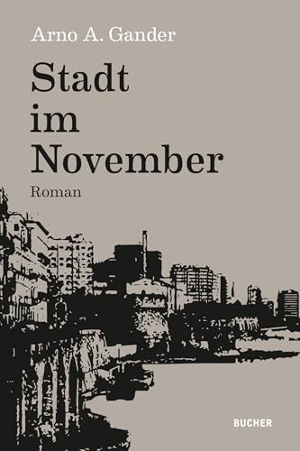 Stadt im November: Roman von Buch