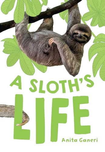 A Sloth's Life: Fluency 7 (Big Cat for Little Wandle Fluency) von Collins