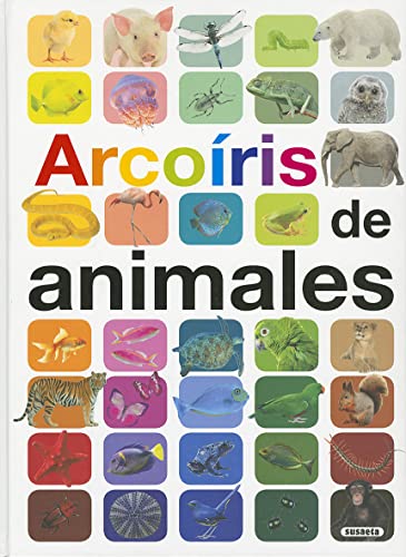 Arcoiris de animales (Grandes ilustrados)