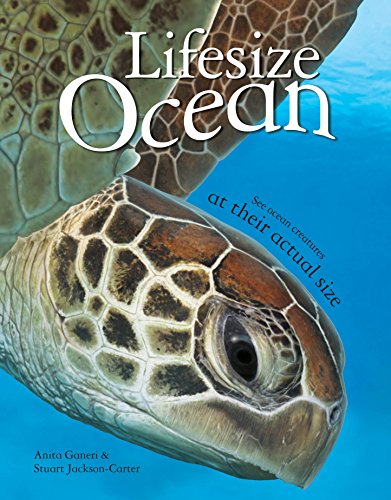 Lifesize Ocean: See ocean creatures at their actual size Lifesize Ocean: See ocean creatures at their actual size