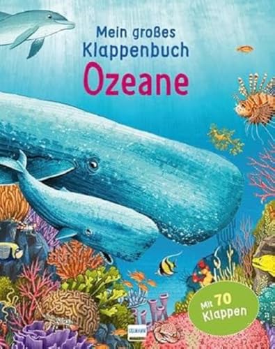 Klappenbuch - Ozeane: mit 70 Klappen und spannenden Sachinformationen Klappenbuch - Ozeane: mit 70 Klappen und spannenden Sachinformationen von ULLMANN MEDIEN