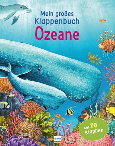 Klappenbuch - Ozeane: mit 70 Klappen und spannenden Sachinformationen