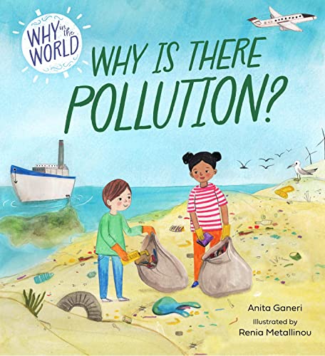 Why is there Pollution? (Why in the World) von Franklin Watts