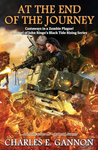 At the End of the Journey (Volume 10): Volume 9 (Black Tide Rising, Band 9)