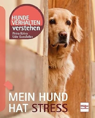 Mein Hund hat Stress