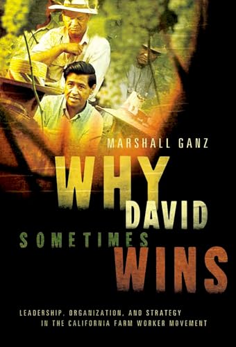 Why David Sometimes Wins: Leadership, Organization, and Strategy in the California Farm Worker Movement