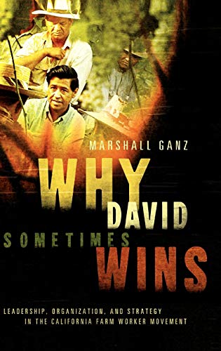 Why David Sometimes Wins: Leadership, Strategy and the Organization in the California Farm Worker Movement von OUP USA