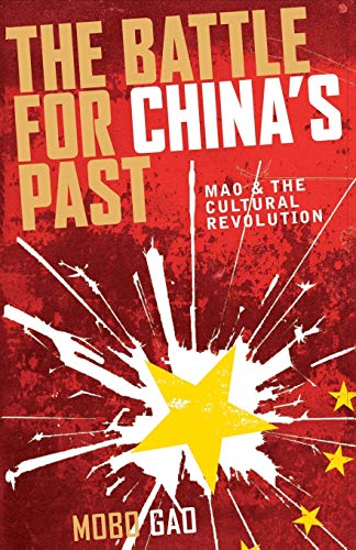 The Battle for China's Past: Mao and the Cultural Revolution von Pluto Press (UK)