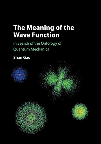 The Meaning of the Wave Function: In Search of the Ontology of Quantum Mechanics von Cambridge University Press