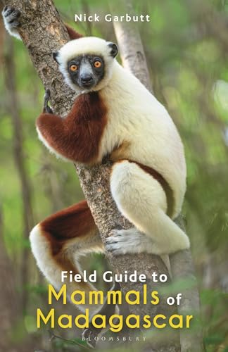Field Guide to Mammals of Madagascar (Bloomsbury Naturalist) von Bloomsbury Wildlife